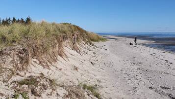A sandy beach with dunes and a clear sky.