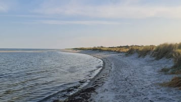 A beach with a sandy shore and a calm sea.