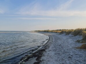 Ein Strand mit sandigem Ufer und ruhiger See.