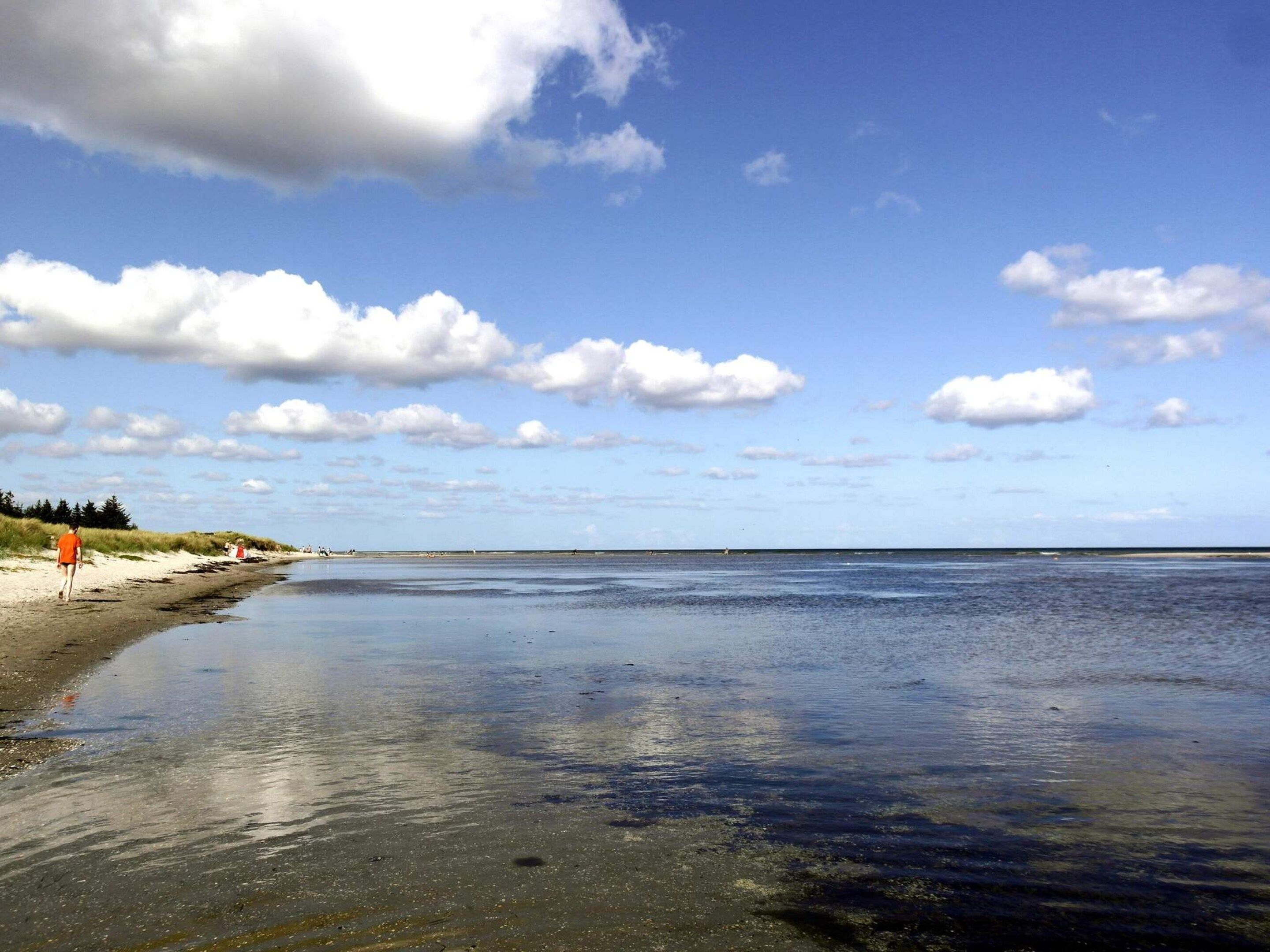 En strand med klart himmel og roligt vand.