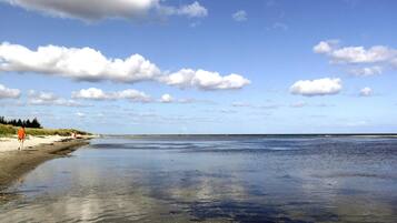 En strand med klart himmel og roligt vand.