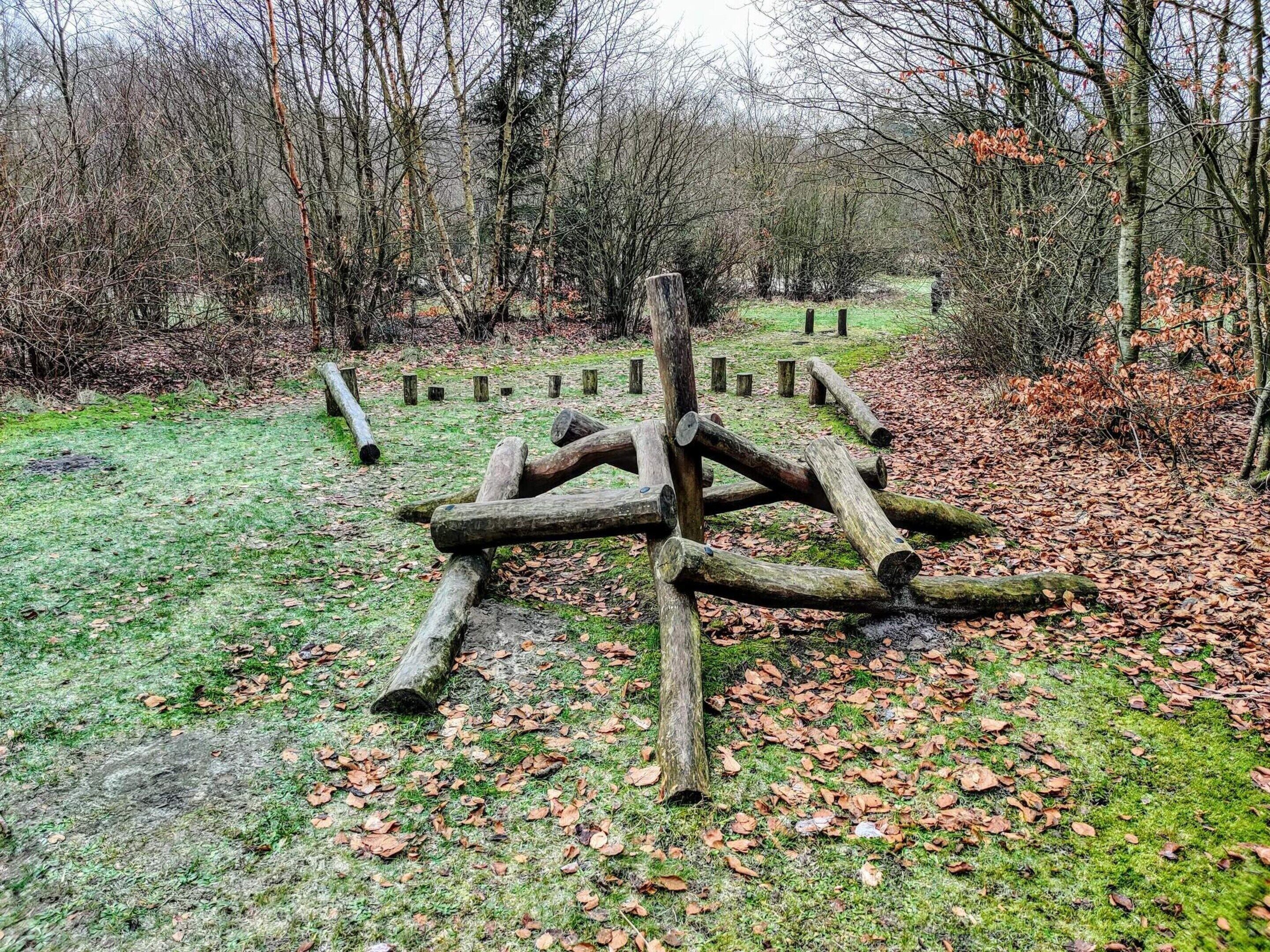 Un cadre naturel avec une structure en bois faite de troncs d’arbres et de poteaux en bois, entouré d’arbres et d’une zone herbeuse parsemée de feuilles mortes.