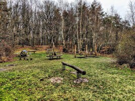 House | Property grounds