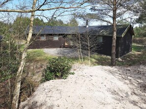 A rustic cabin with a dirt path leading to it, surrounded by trees and shrubs.