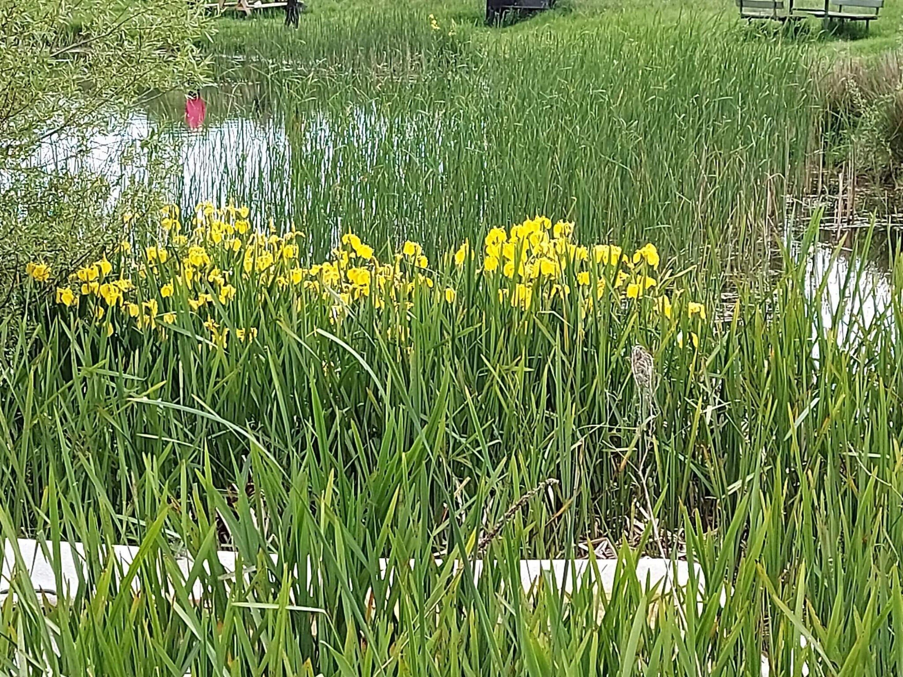 Maison | Enceinte de l’hébergement