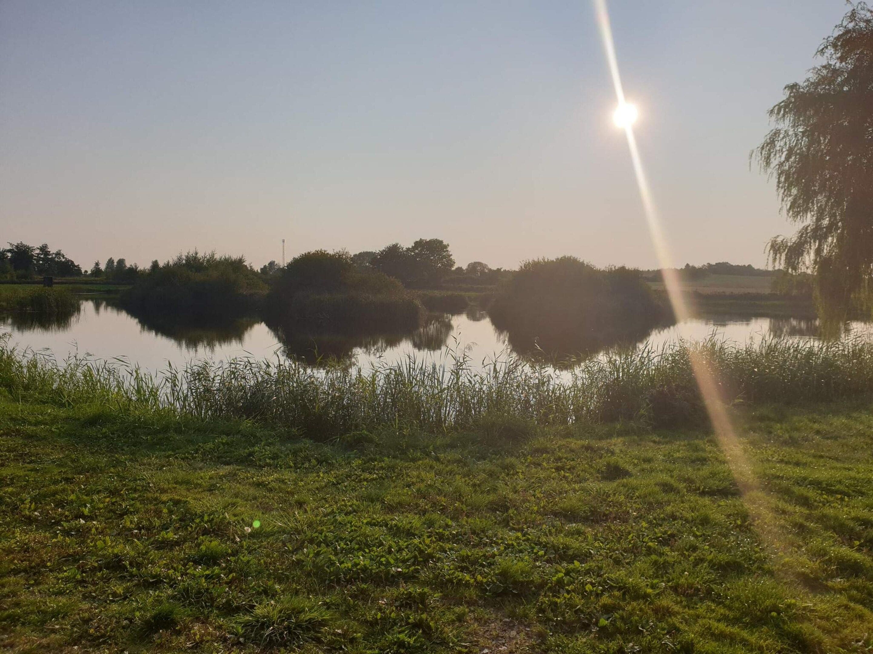 En rolig sø med et klart spejlbillede af himlen og de omkringliggende træer, omgivet af græsklædte bredder.