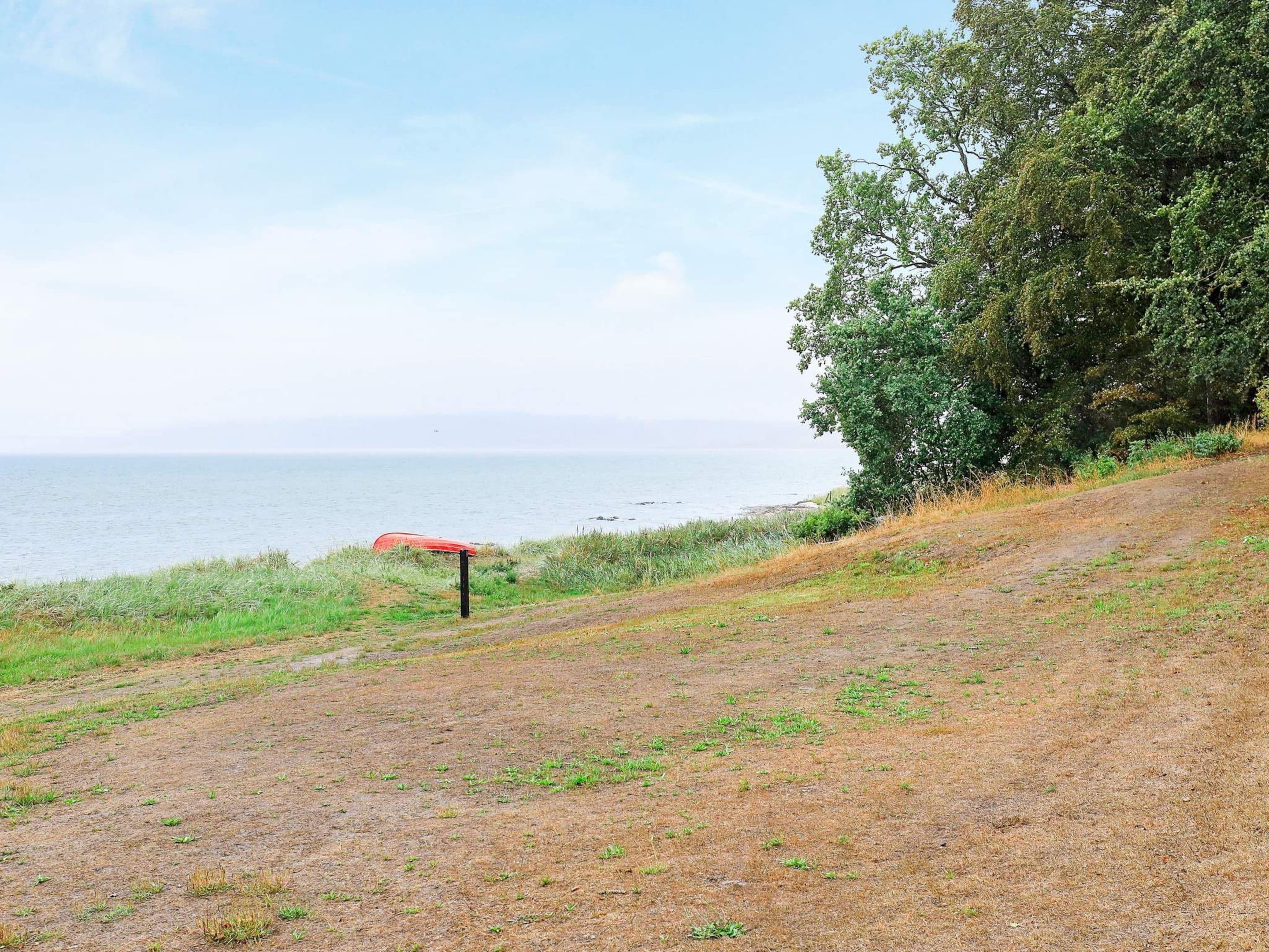 A coastal landscape with a dirt path leading to a red canoe, a grassy area, and a dense tree line.