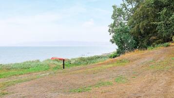 A coastal landscape with a dirt path leading to a red canoe, a grassy area, and a dense tree line.
