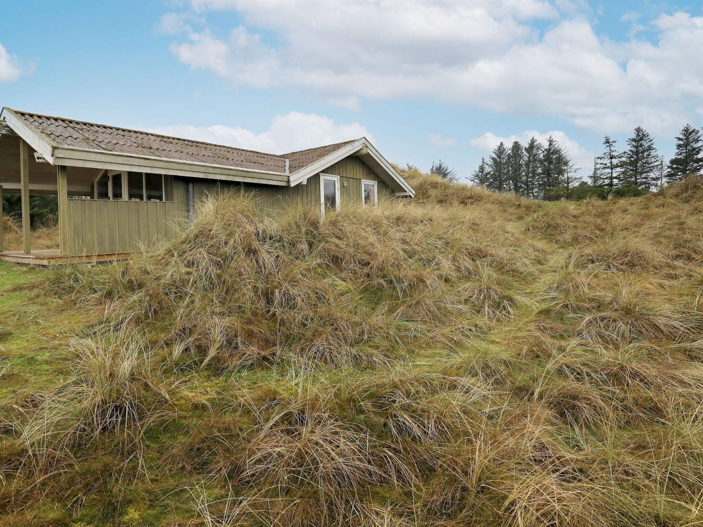 House | View from property
