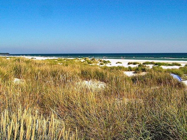 En strand med sanddyner och gräs i förgrunden, en klar himmel och havet i bakgrunden.