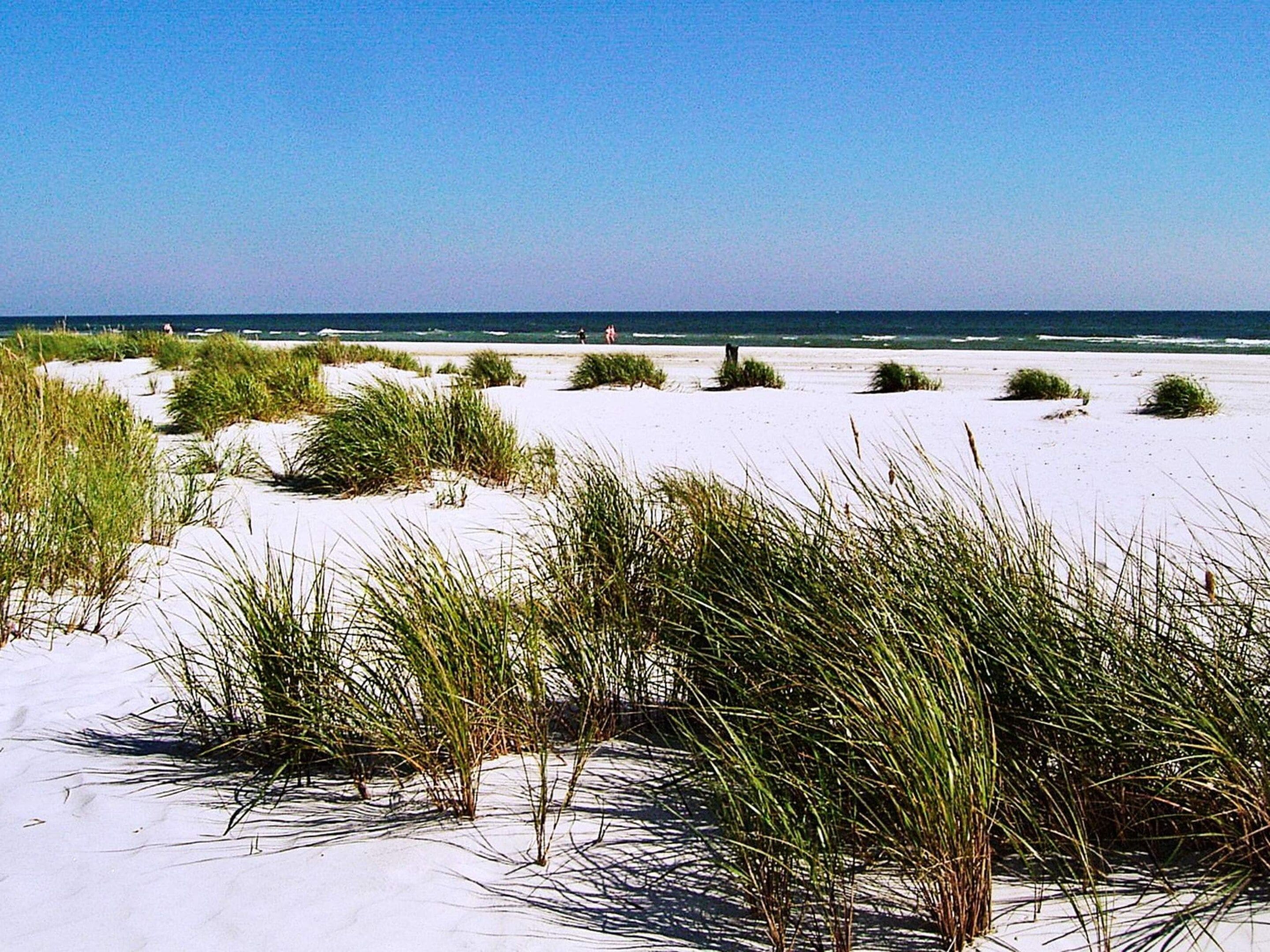 A beach with sand dunes and sparse vegetation.