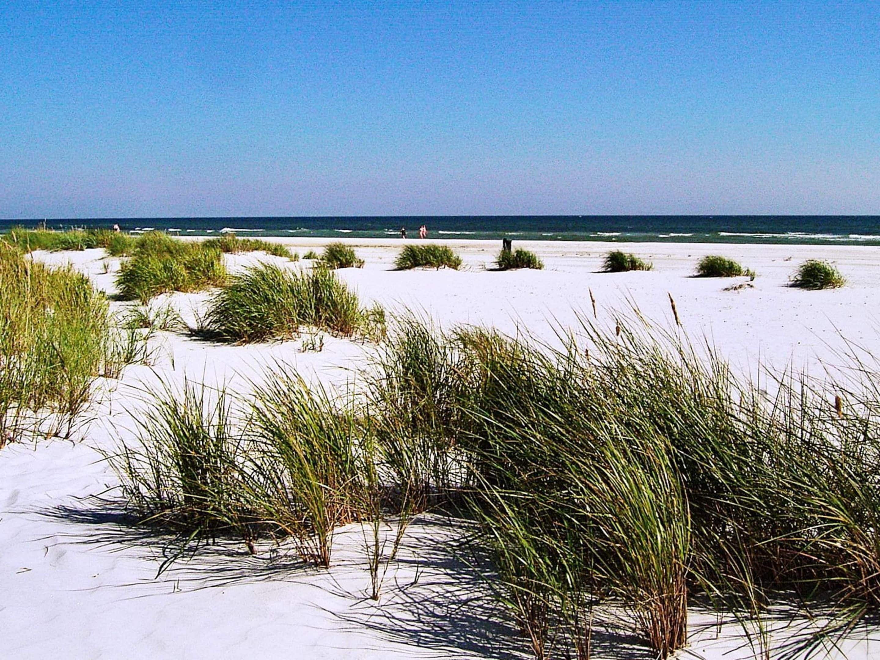A beach with sand dunes and sparse vegetation.