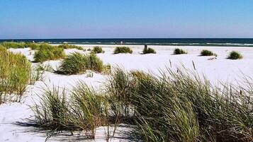 Una playa con dunas de arena y vegetación escasa.