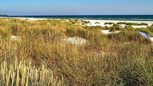 Une plage avec des dunes de sable et de hautes herbes.