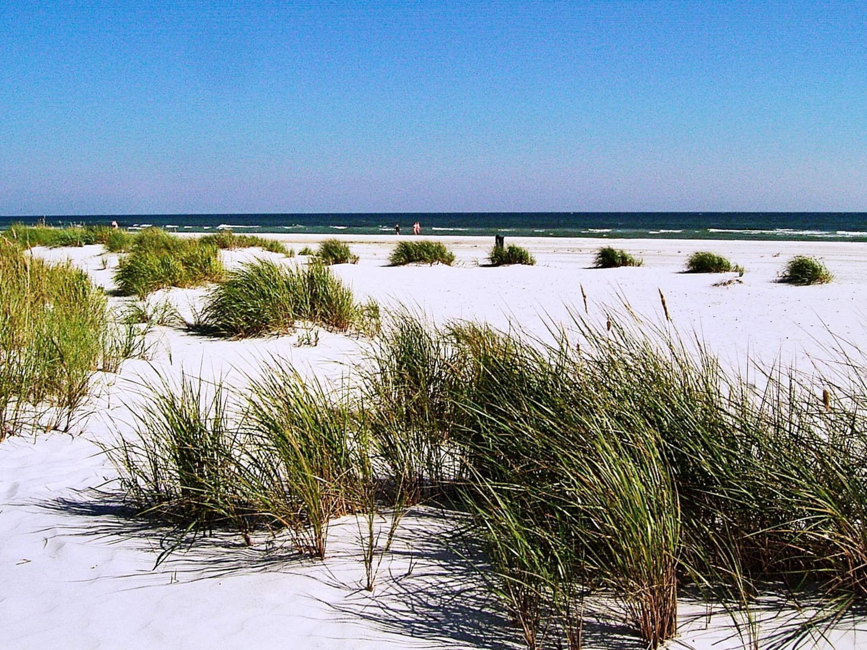 Departamento | Vista desde la propiedad