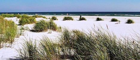 Apartment | View from property