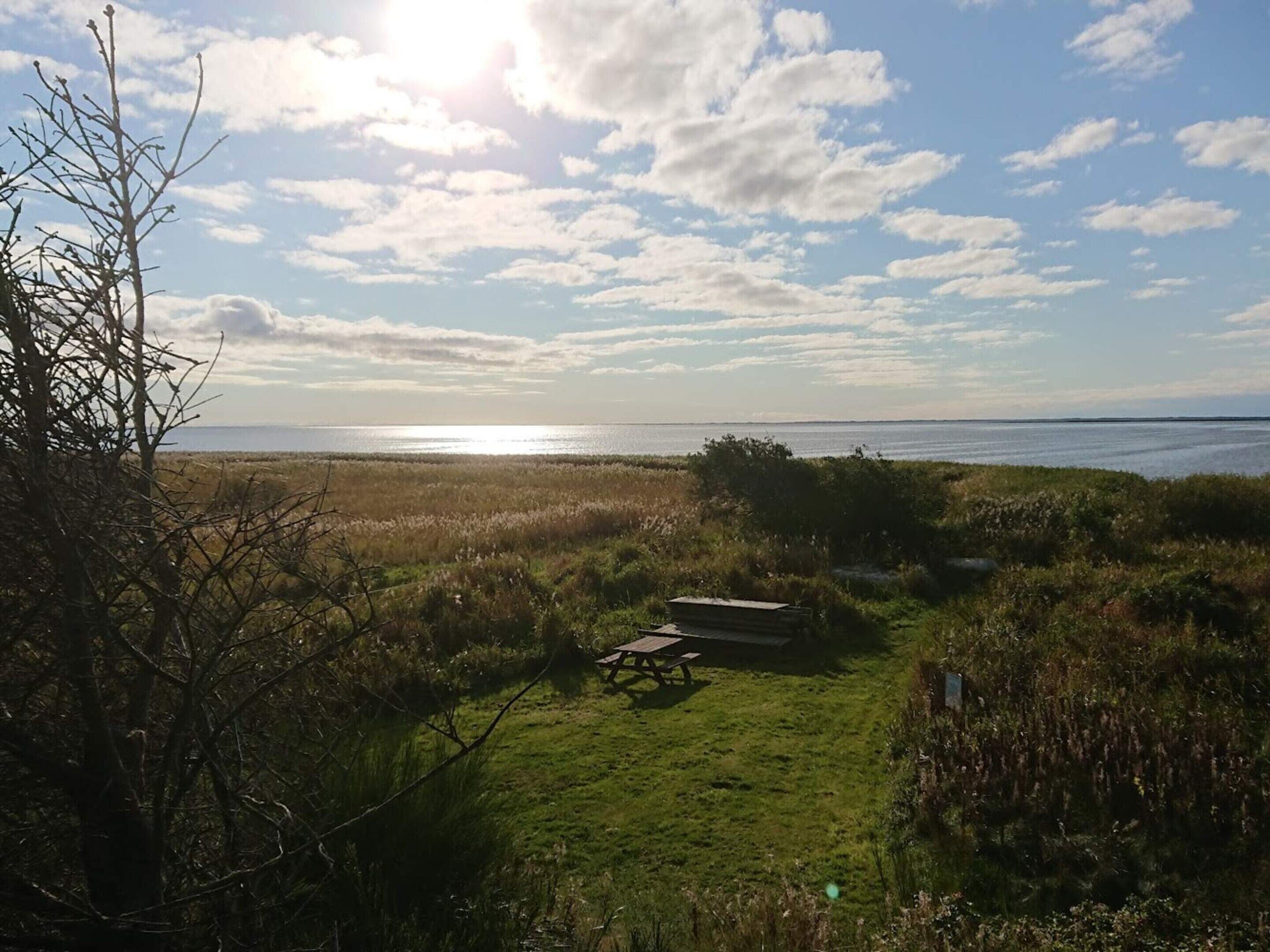 House | Property grounds