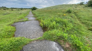 Uma trilha rural com piso de pedra, cercada por campos gramados e um céu nublado.