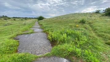 A rural pathway with a stone edge, surrounded by grassy fields and under a cloudy sky.