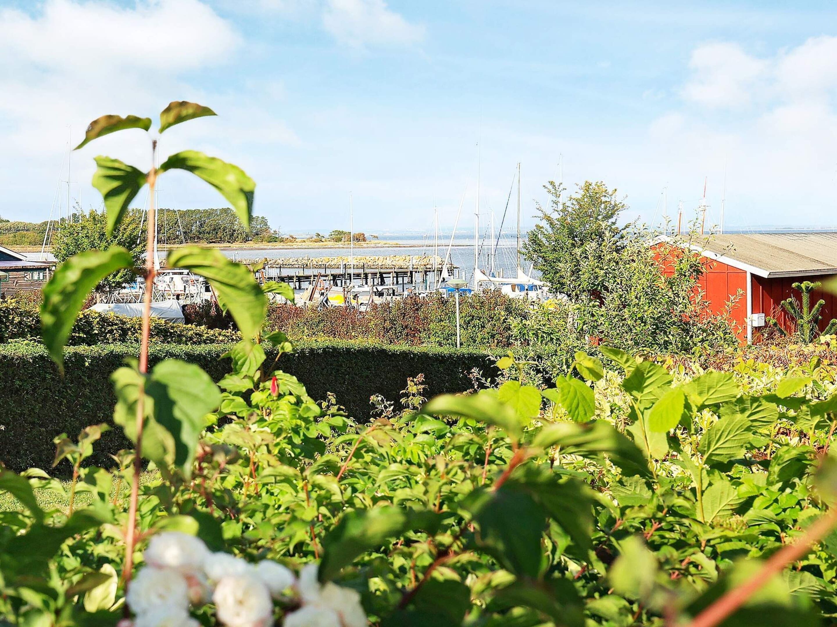 Casa | Parco della struttura