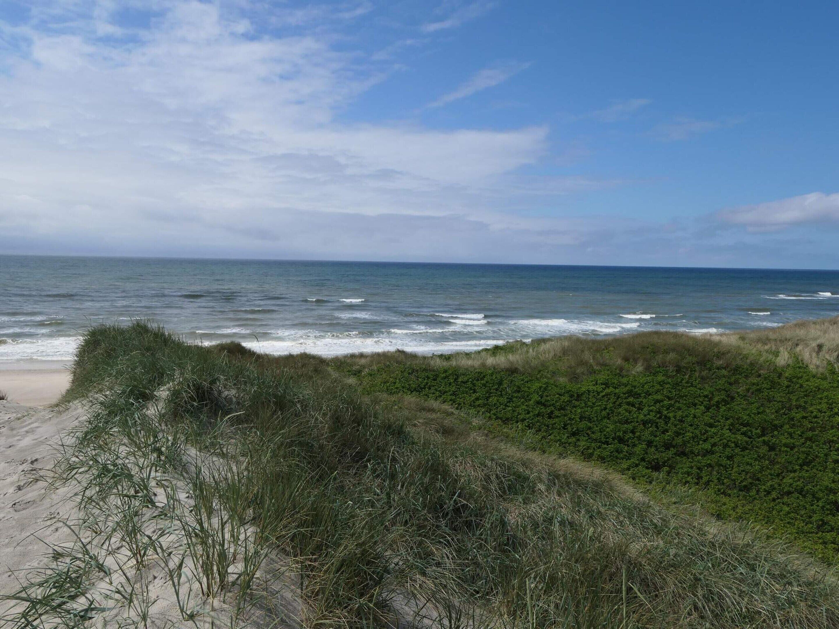 Ein Strand mit Wellen, grasbewachsenen Dünen und blauem Himmel.