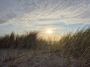 Hus | Strand