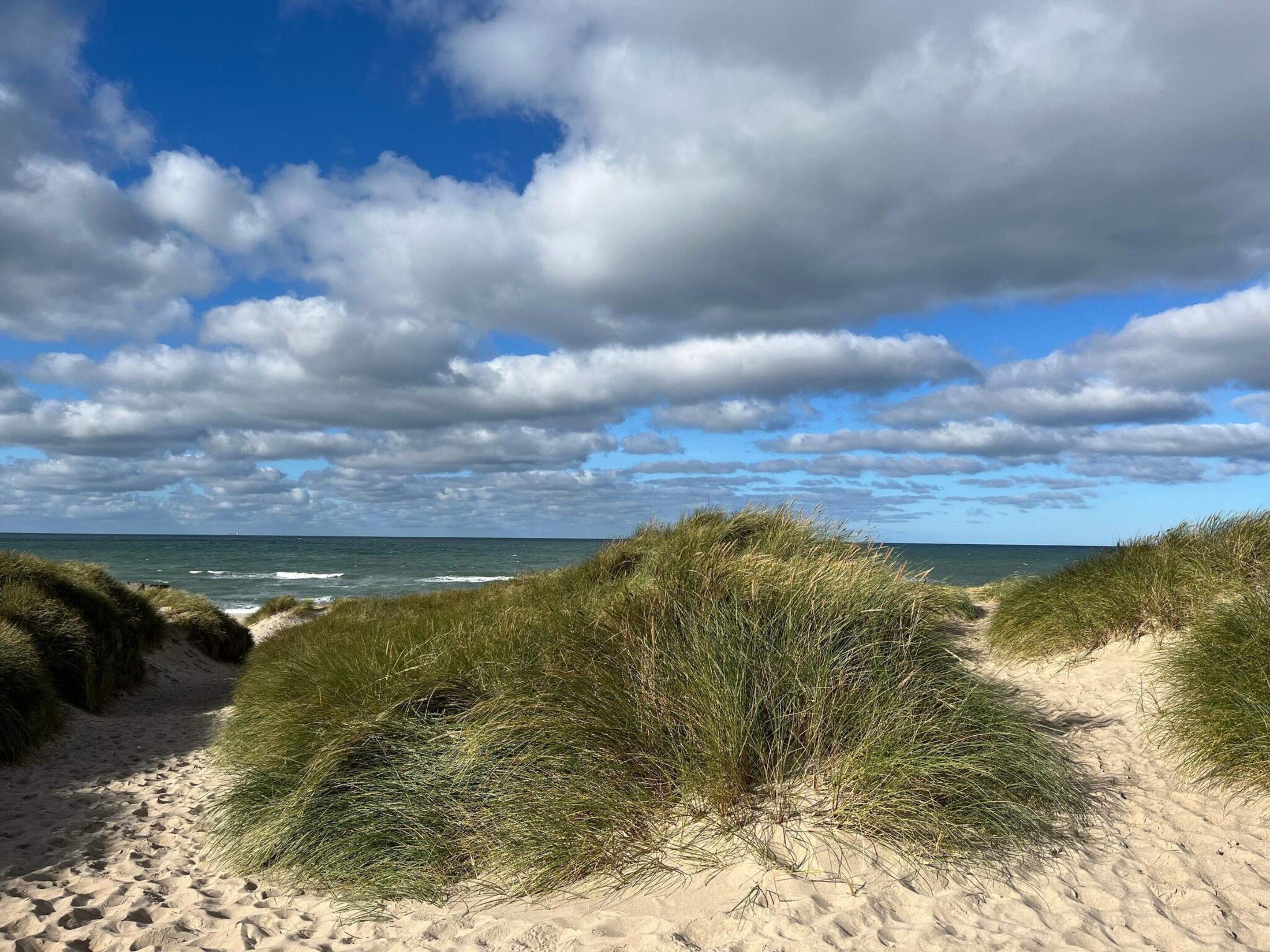 House | Beach