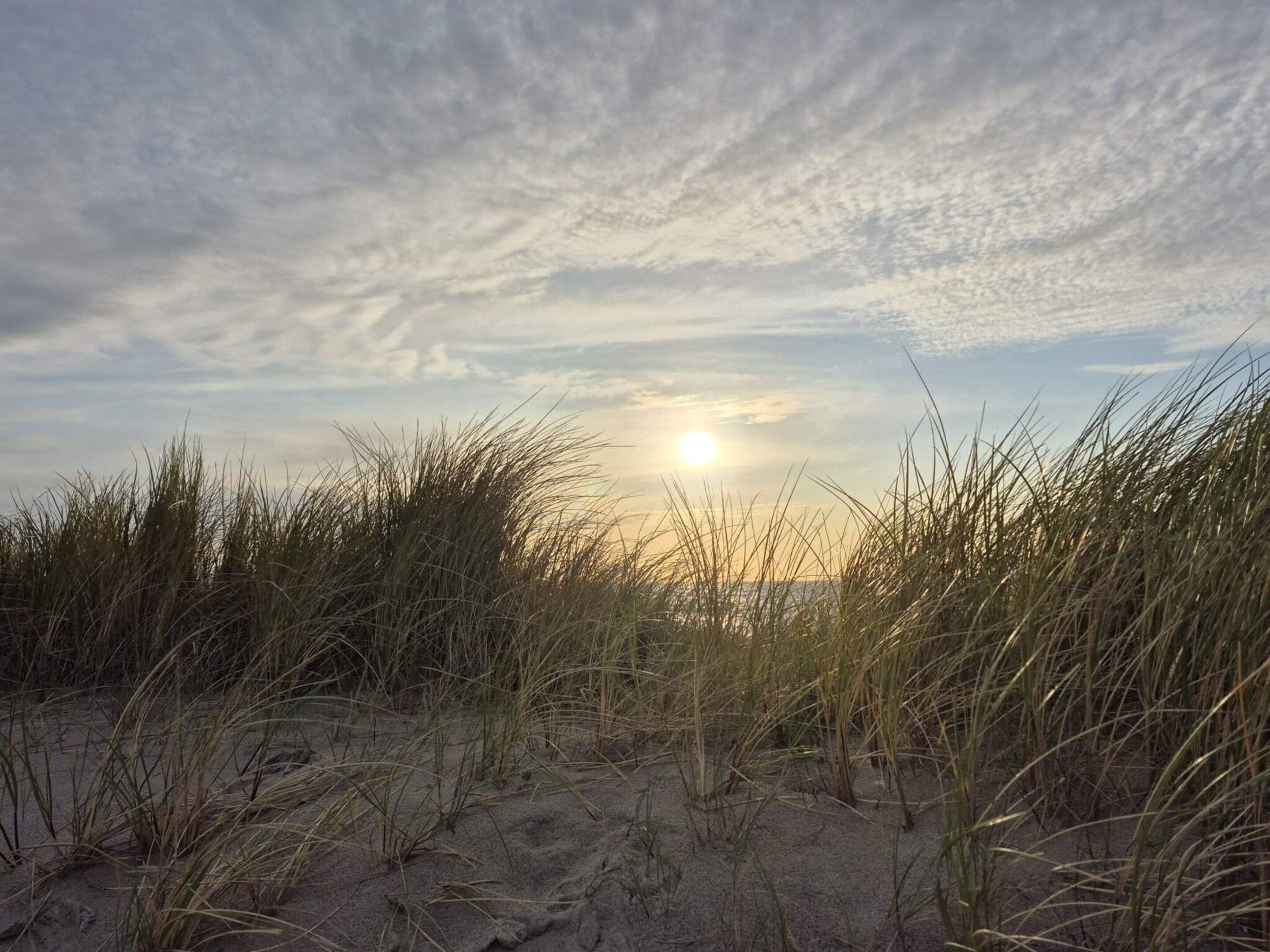 A beach with sand dunes and grass in the foreground.