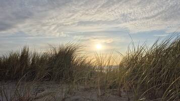A beach with sand dunes and grass in the foreground.