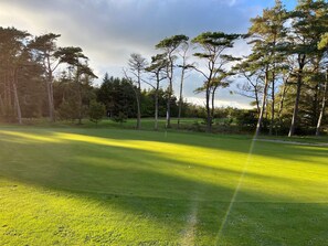 A golf course with a flagstick in the center, surrounded by trees and a clear sky. - Comely Holiday Home in Thisted near Beach (Thisted)
