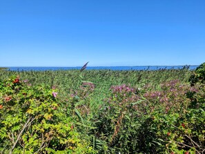 House | Miscellaneous