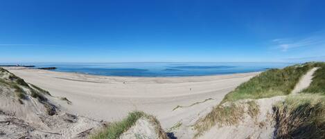 A wide sandy beach with dunes and a clear blue sky.