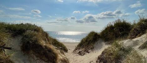 A sandy beach path leading to the ocean, surrounded by grassy dunes.