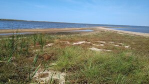 A coastal landscape with a sandy beach, grassy areas, and a calm body of water. - 8 Person Holiday Home in Ulfborg (Ulfborg)