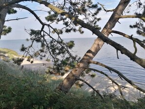 Paisaje costero con un árbol caído, playa arenosa y vista al mar.