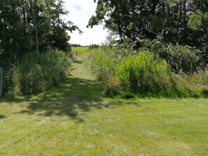 House | Property grounds