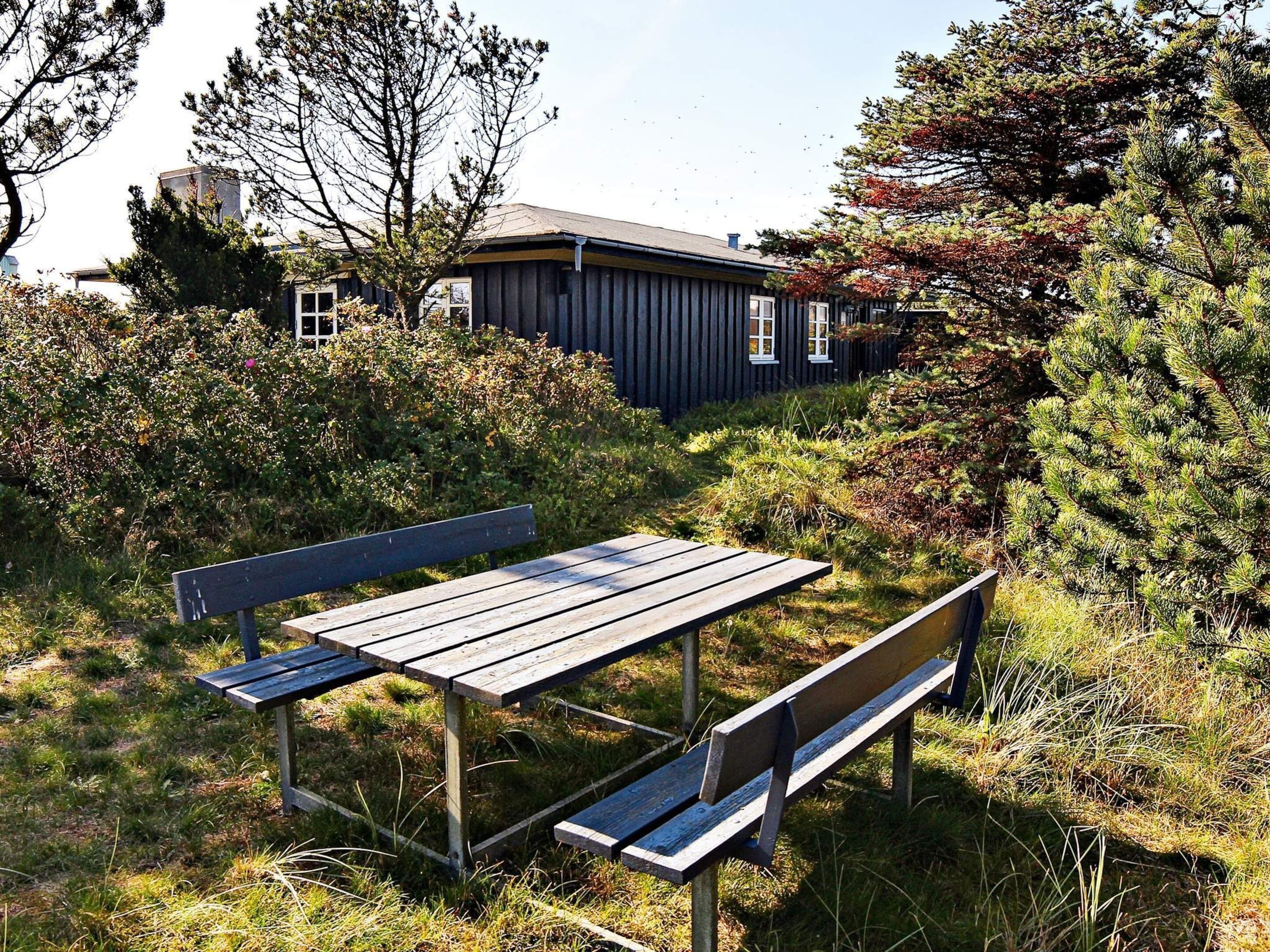 House | Outdoor dining