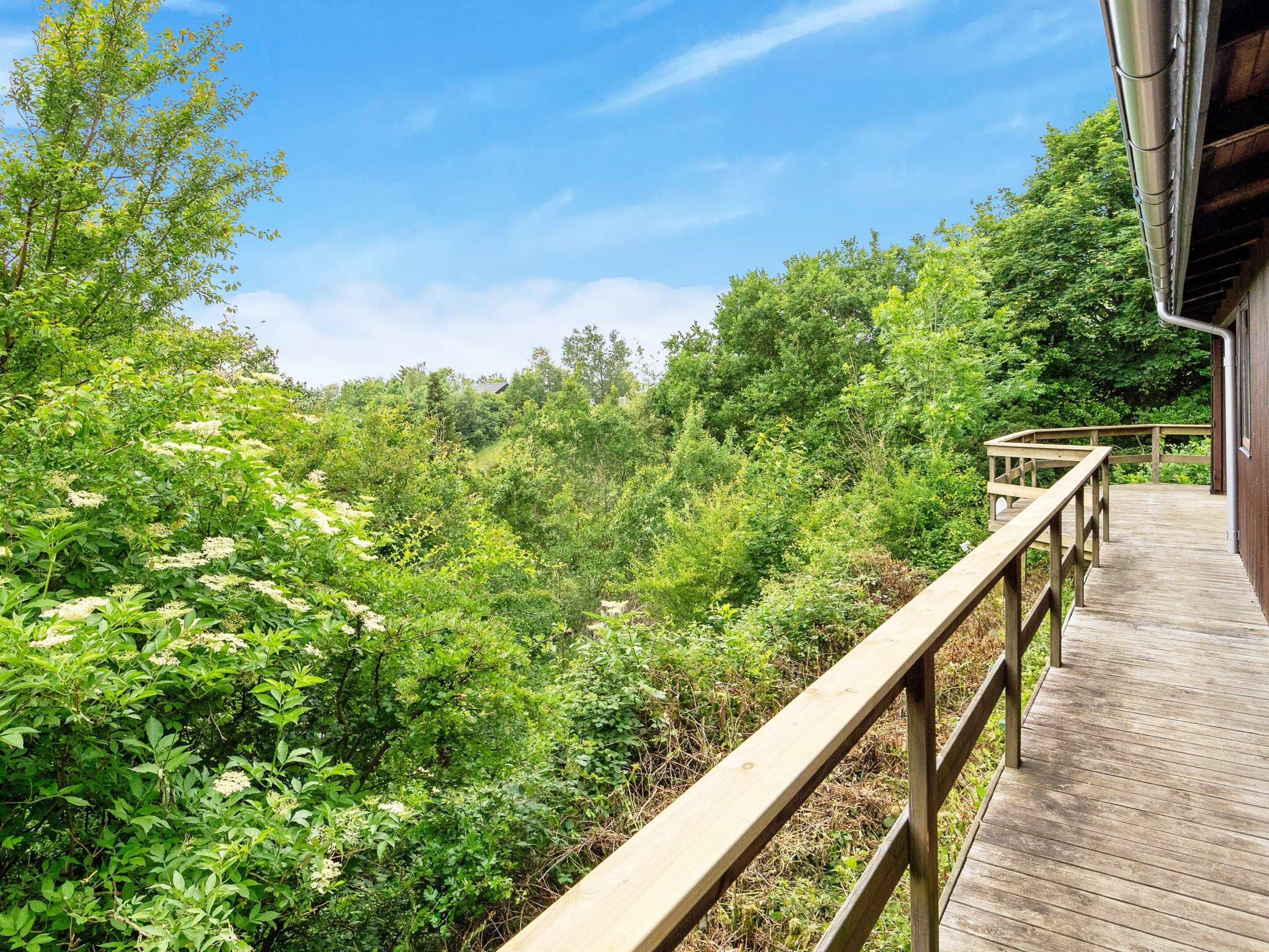 Une terrasse en bois dotée d’une rambarde, qui offre une vue sur une forêt dense.