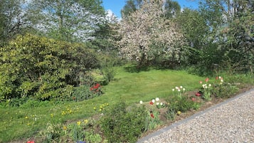 A garden with a variety of flowers and trees, a gravel path, and a grassy area.