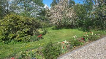 Um jardim com diversas flores e árvores, um caminho de cascalho e uma área gramada.