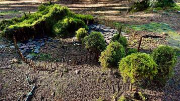 Un área boscosa con un sendero de piedra, árboles pequeños y suelo cubierto de musgo.