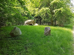 Maison | Terrain de lâhĂ©bergement