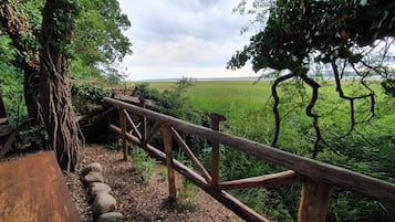 Casa | Áreas de la propiedad