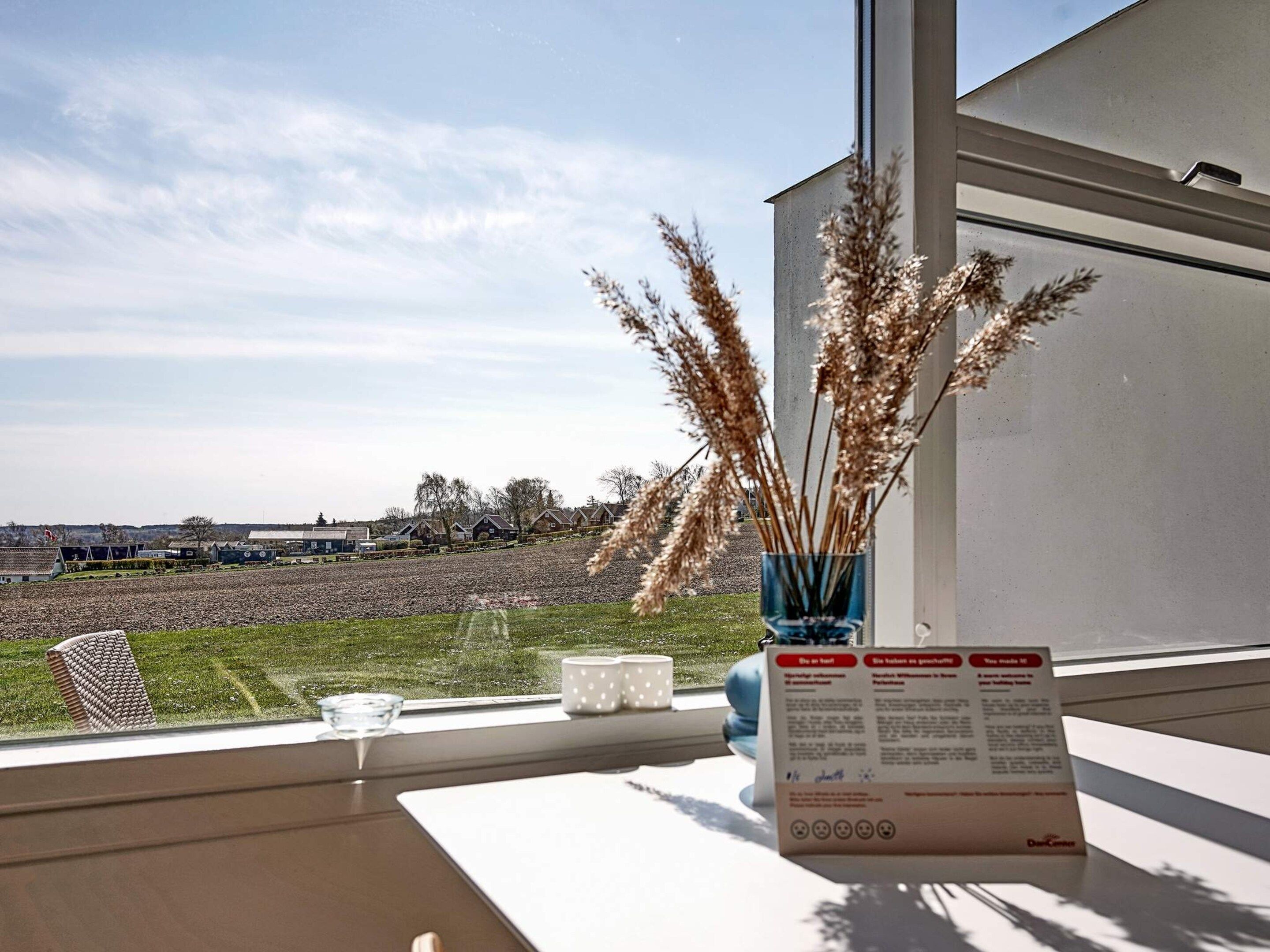 Vista pela janela: vaso com plantas secas, mesa com copo e cardápio, e ao longe, casas e um campo.
