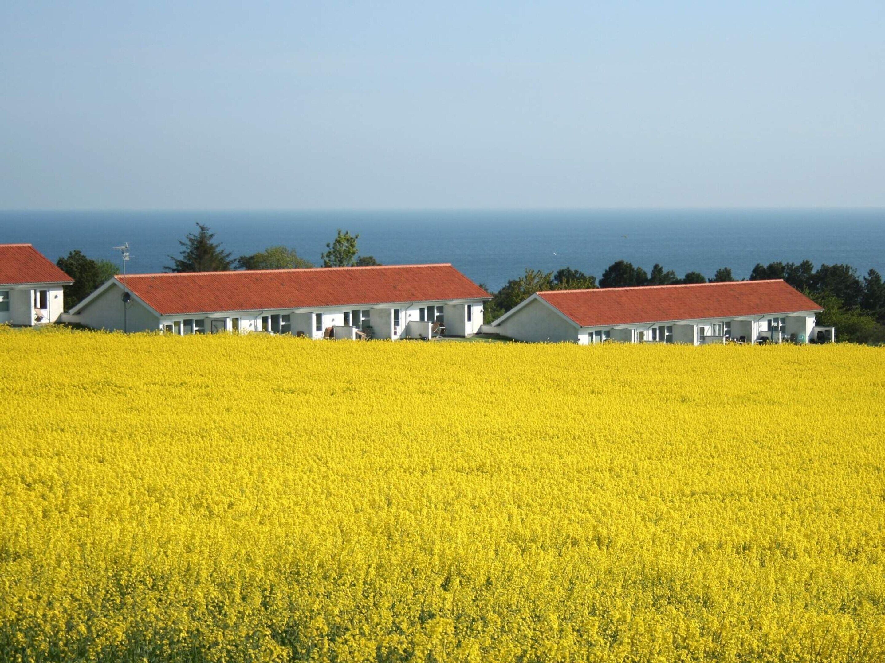 Apartment | Außenbereich