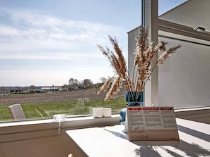 A window view of a residential area with a grassy field and houses in the distance.