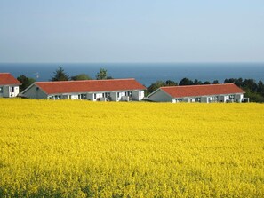 A row of white buildings with red roofs, set against a backdrop of a yellow field and the sea.