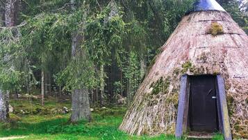 House | Property grounds