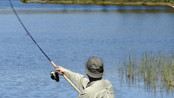 House | Miscellaneous