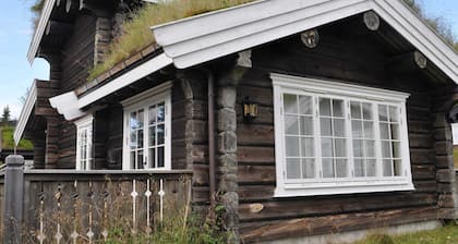 Holiday Home in FÃ¥vang